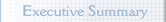 Executive Summary